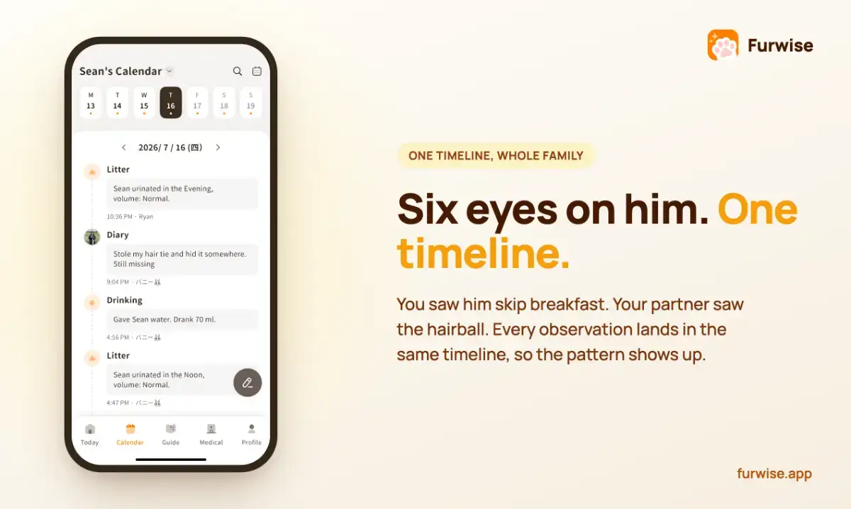 furwise screenshot 2