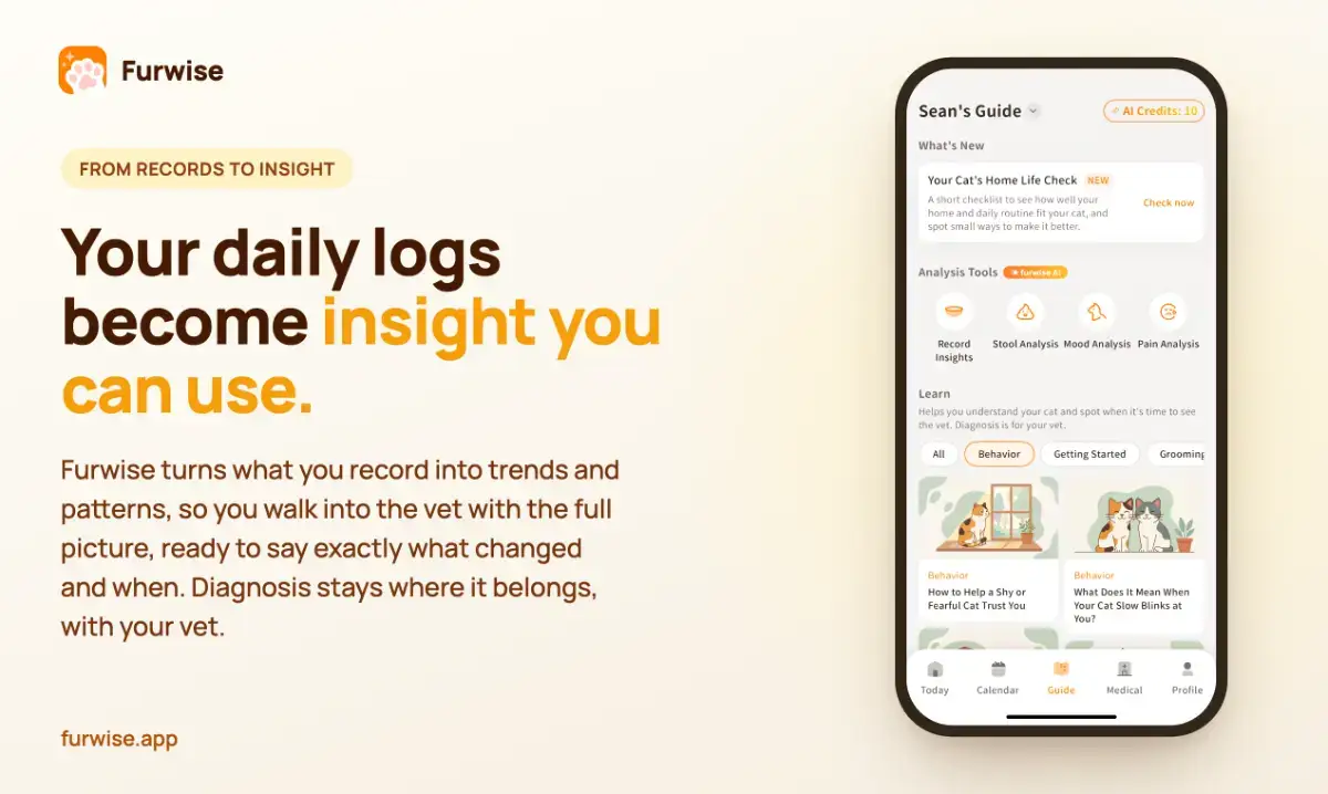 furwise screenshot 3
