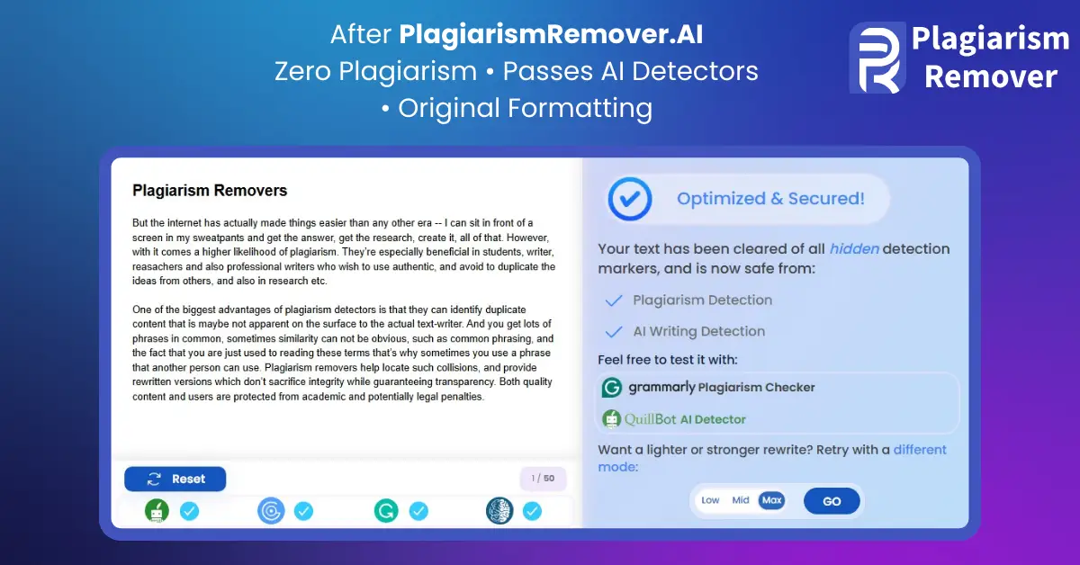 PlagiarismRemoverAI screenshot 2