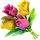 Logo of Flowershow